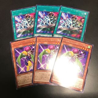 トゥーン・フリップ　トゥーン・ハーピィ・レディ　各3枚