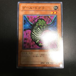 Gale Dogra Normal TP04