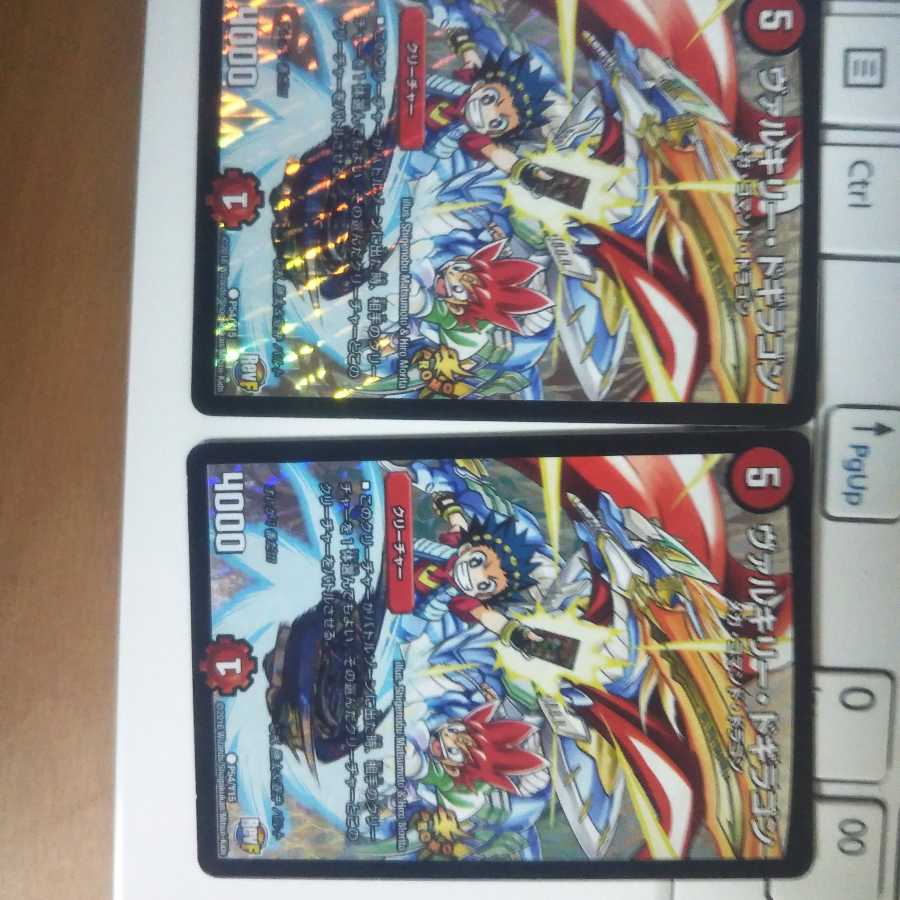 飴っ茶さん専用 ヴァルキリードギラゴン