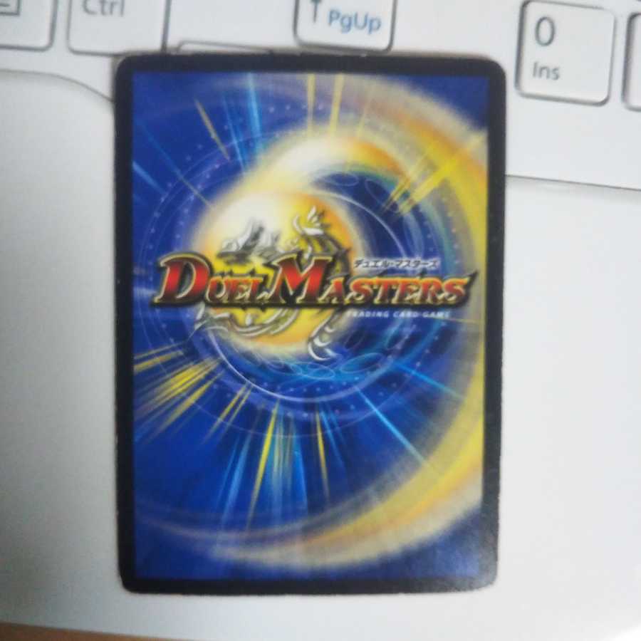 飴っ茶さん専用 ヴァルキリードギラゴン