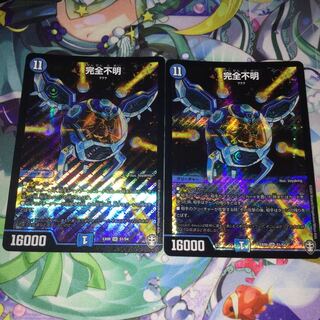 完全不明 2枚セット