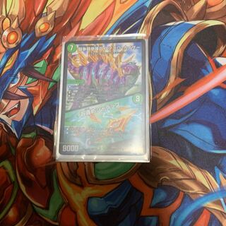 ステゴロカイザー