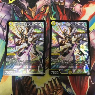 闘門の精霊ウェルキウス