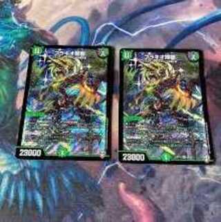 ブラキオ龍樹二枚