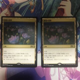 睡蓮の原野 2枚セット