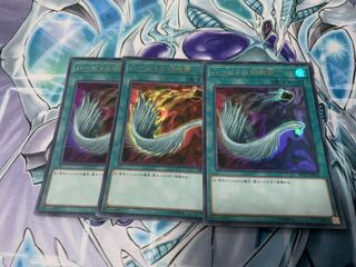 ハーピィの羽根帚 ウルトラレア