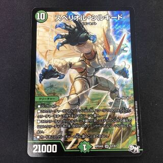 最安値 スペリオル・シルキード