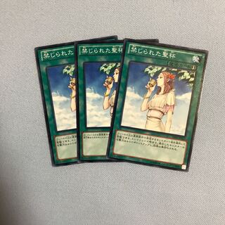 禁じられた聖杯