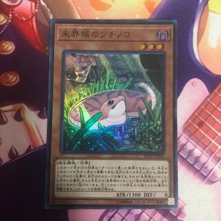 未界域のツチノコ