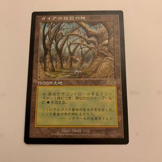 MTG ガイアの揺籃の地　日本語