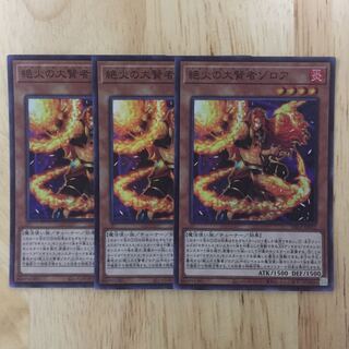 絶火の大賢者ゾロア