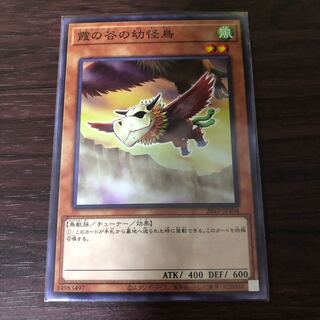 霞の谷の幼怪鳥 ノーマル