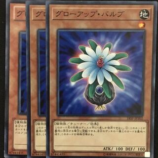 グローアップ・バルブ3枚