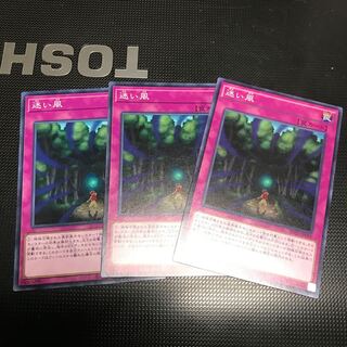 迷い風 ノーマル　3枚