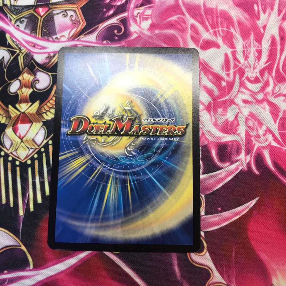 「絶対の楯騎士」