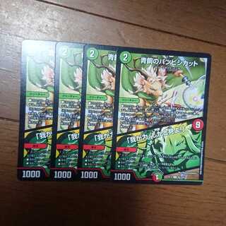 バンビシカット 4枚セット