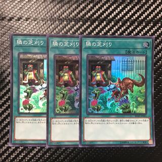 隣の芝刈り スーパーレア