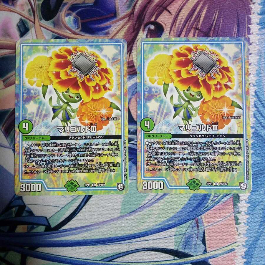 マリゴルド3　2枚