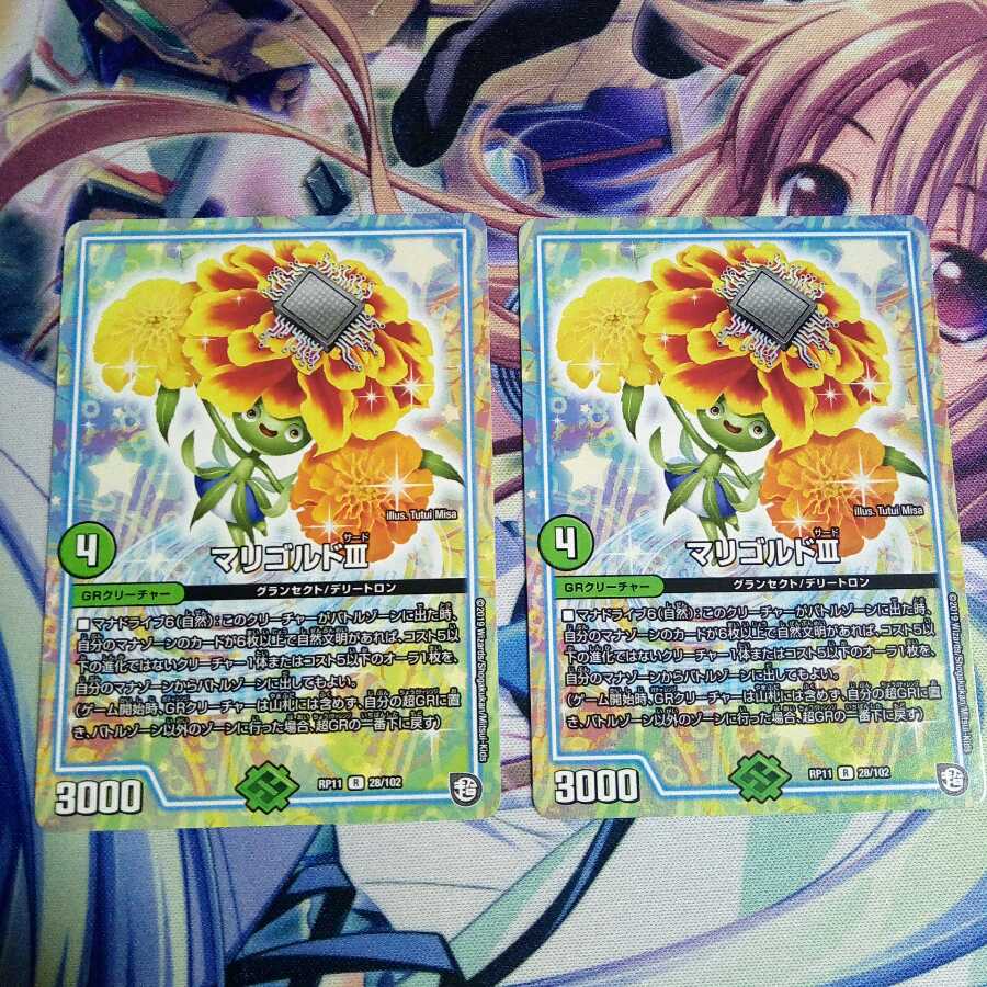 マリゴルドサード