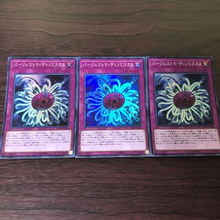 バージェストマ・ディノミスクス　3枚