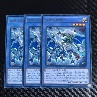 嵐竜の聖騎士 レア