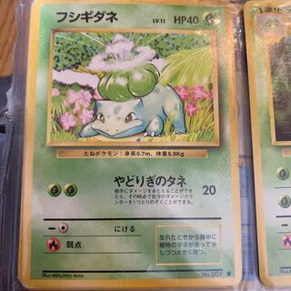 ポケモンカード旧裏 フシギダネ