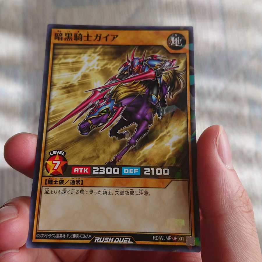 暗黒騎士ガイア