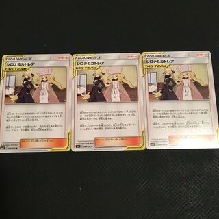 シロナ&カトレア 3枚セット