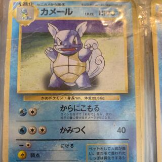 Pokemon Cards Old Back Wartortle