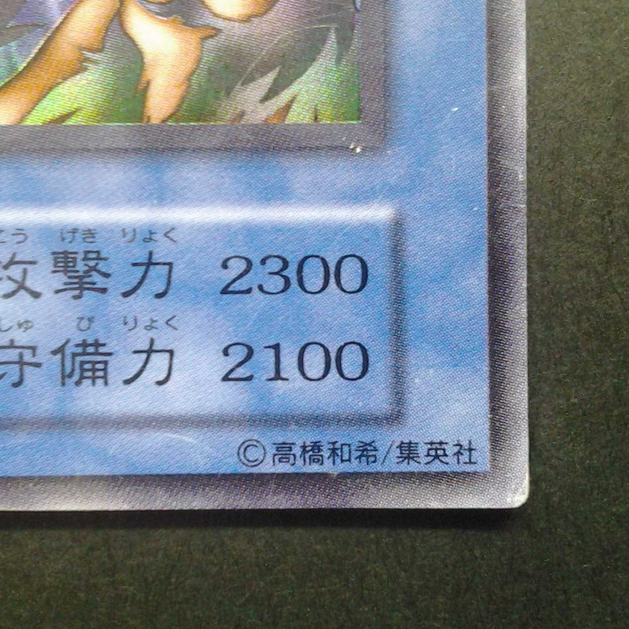 Super War-Lion Trekker case with photo stand