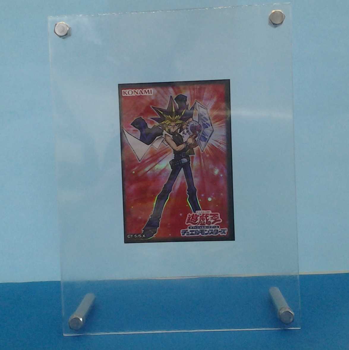 Super War-Lion Trekker case with photo stand