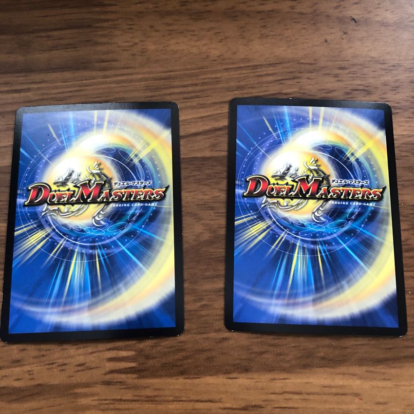 ゴグガロイザー シク2枚