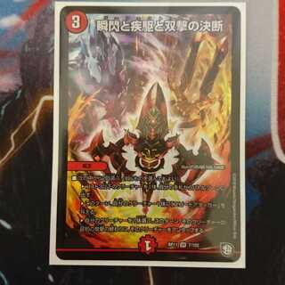 専用 瞬閃と疾駆と双撃の決断