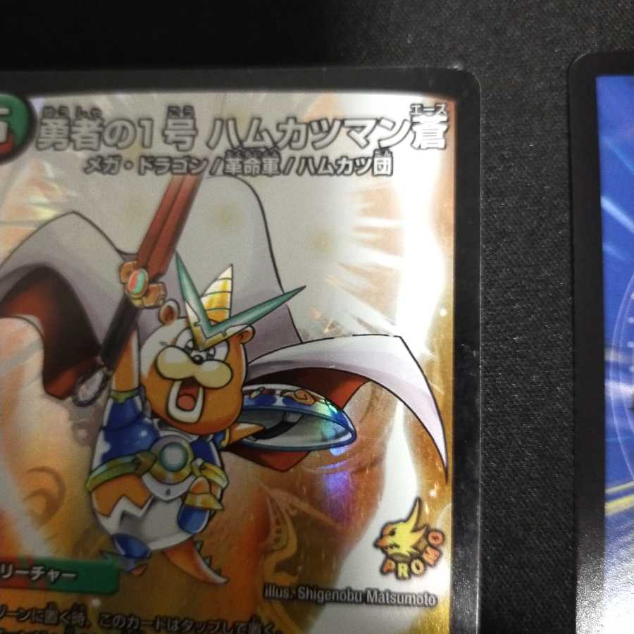 勇者の1号 ハムカツマン蒼