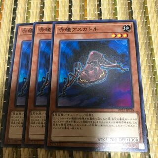 マドレース 赤蟻アスカトル ノーマル