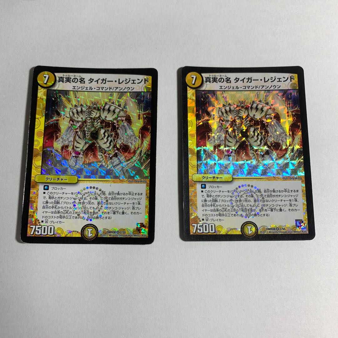 真実の名 タイガー・レジェンド