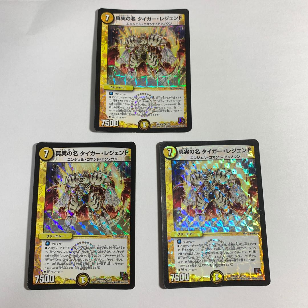 真実の名 タイガー・レジェンド