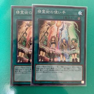 精霊術の使い手　スーパー