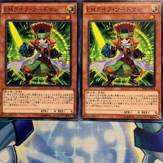 【N】EMライフ・ソードマン 2枚 TDIL-JP008