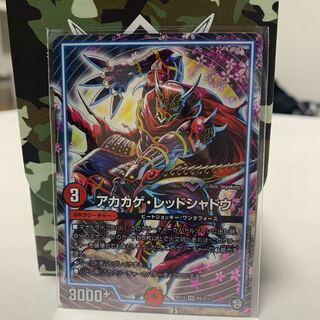 アカカゲ・レッドシャドウ