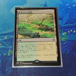 【MTG】吹きさらしの荒野(日) タルキール