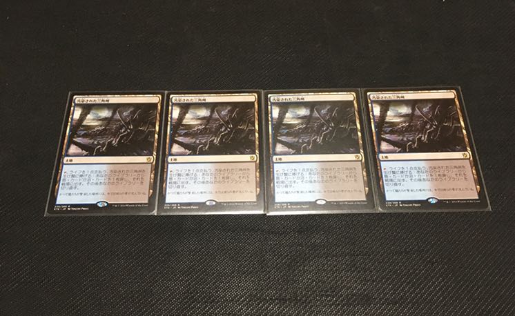 汚染された三角州　血染めのぬかるみ　日本語　4枚セット