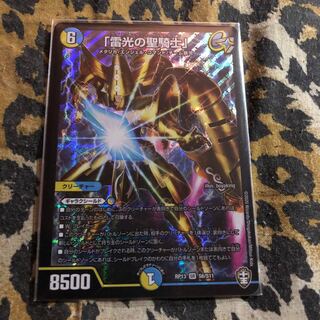 「雷光の聖騎士」