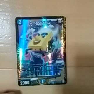 最終値下げ！スッポンジトムwinnerプロモ