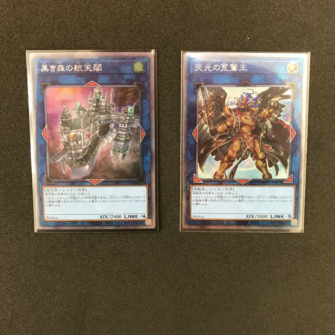 天元の荒鷲王 黒き森の航天閣