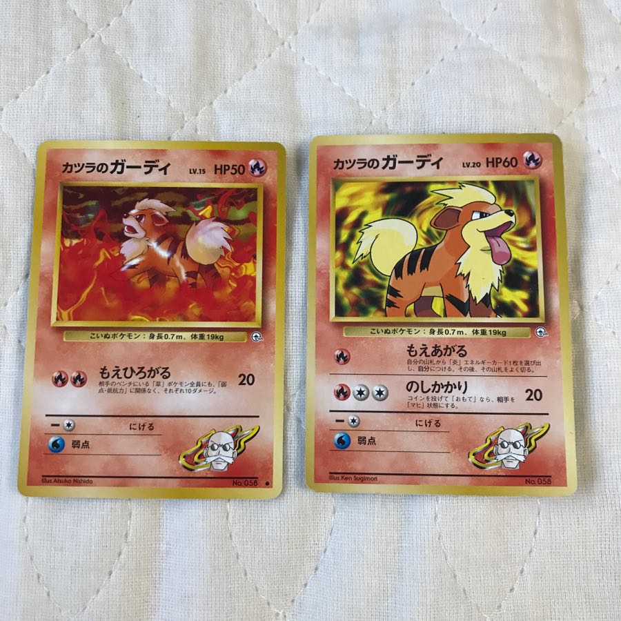 カツラのガーディ 2枚