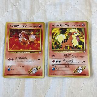 カツラのガーディ 2枚