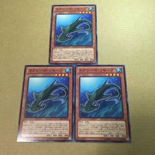 エクシーズ・リモーラ