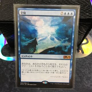 こつ様専用 全知