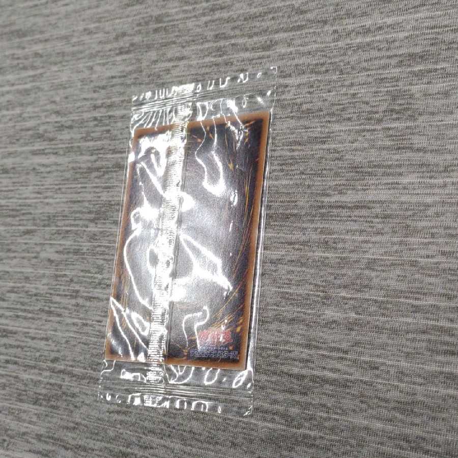 光の創造神 ホルアクティ 未開封